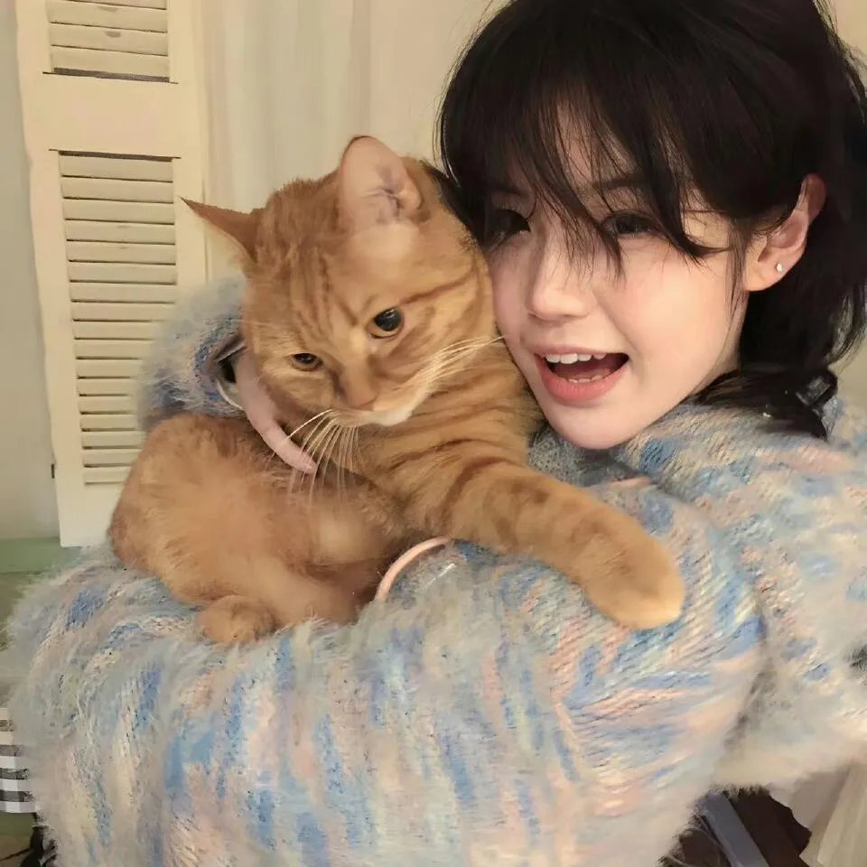 蛇和猫鼬