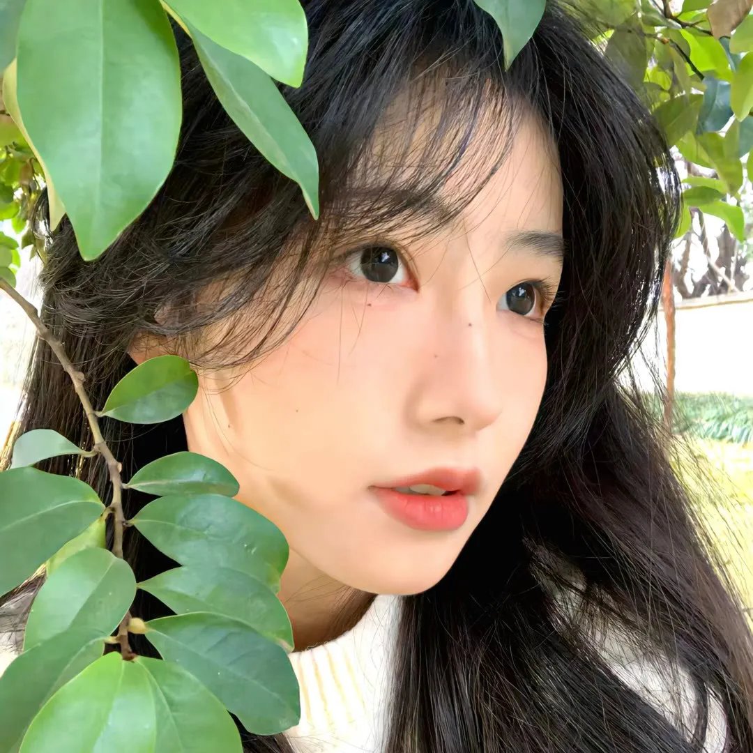 水果篮子第一季